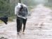 Man covered in a plastic sheet walking through heavy rain and strong wind on a muddy road