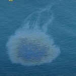 UAE oil spill: oil slick spreading on the sea surface off the coast